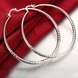 Wholesale Classic Trendy Silver plated Circle Hoop Earrings Round Stylish Earrings for women Engagement Christmas Gift TGHE011 3 small