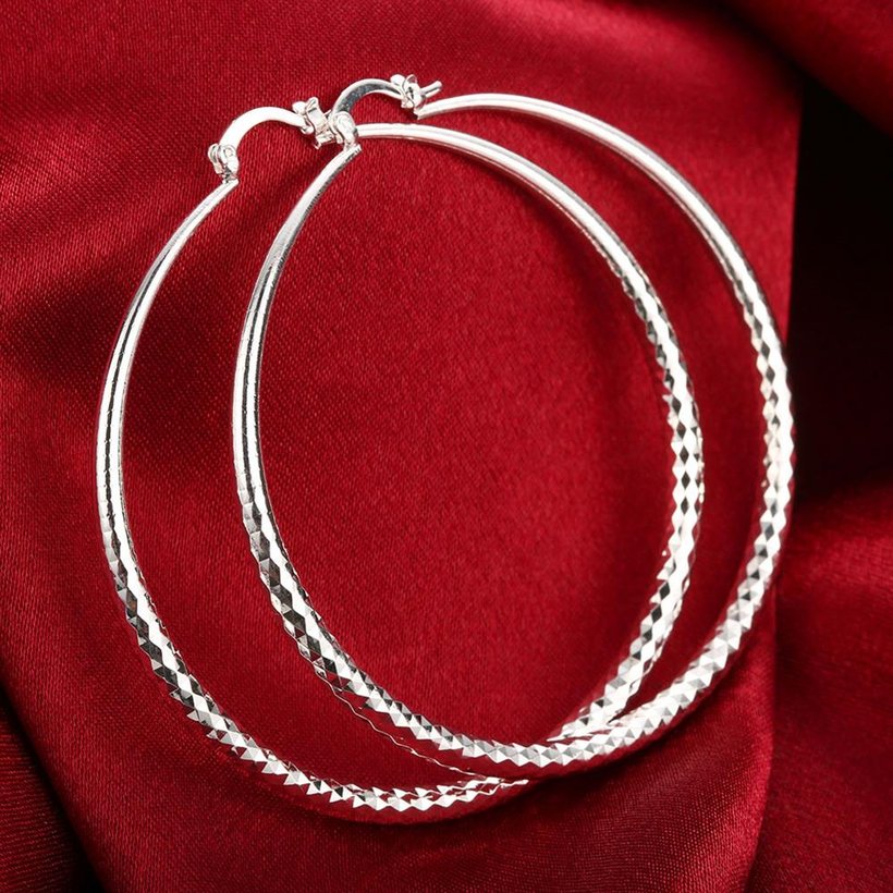 Wholesale Classic Trendy Silver plated Circle Hoop Earrings Round Stylish Earrings for women Engagement Christmas Gift TGHE011 4