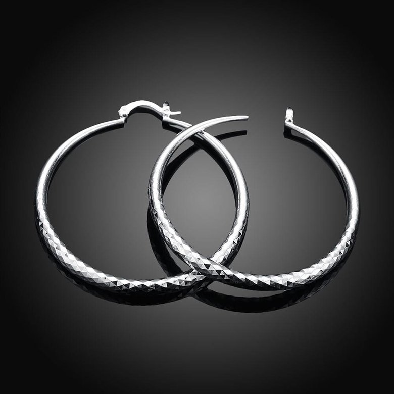 Wholesale Classic Trendy Silver plated Circle Hoop Earrings Round Stylish Earrings for women Engagement Christmas Gift TGHE012 1