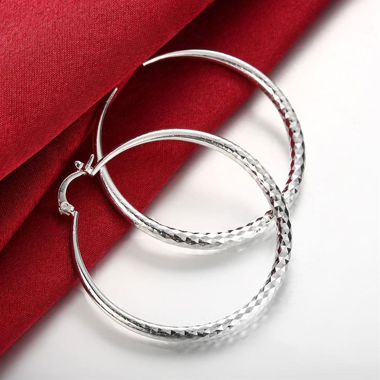 Wholesale Classic Trendy Silver plated Circle Hoop Earrings Round Stylish Earrings for women Engagement Christmas Gift TGHE012 2