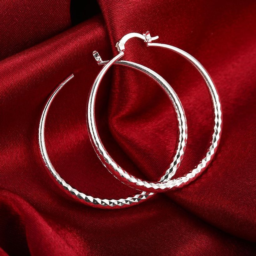 Wholesale Classic Trendy Silver plated Circle Hoop Earrings Round Stylish Earrings for women Engagement Christmas Gift TGHE012 3