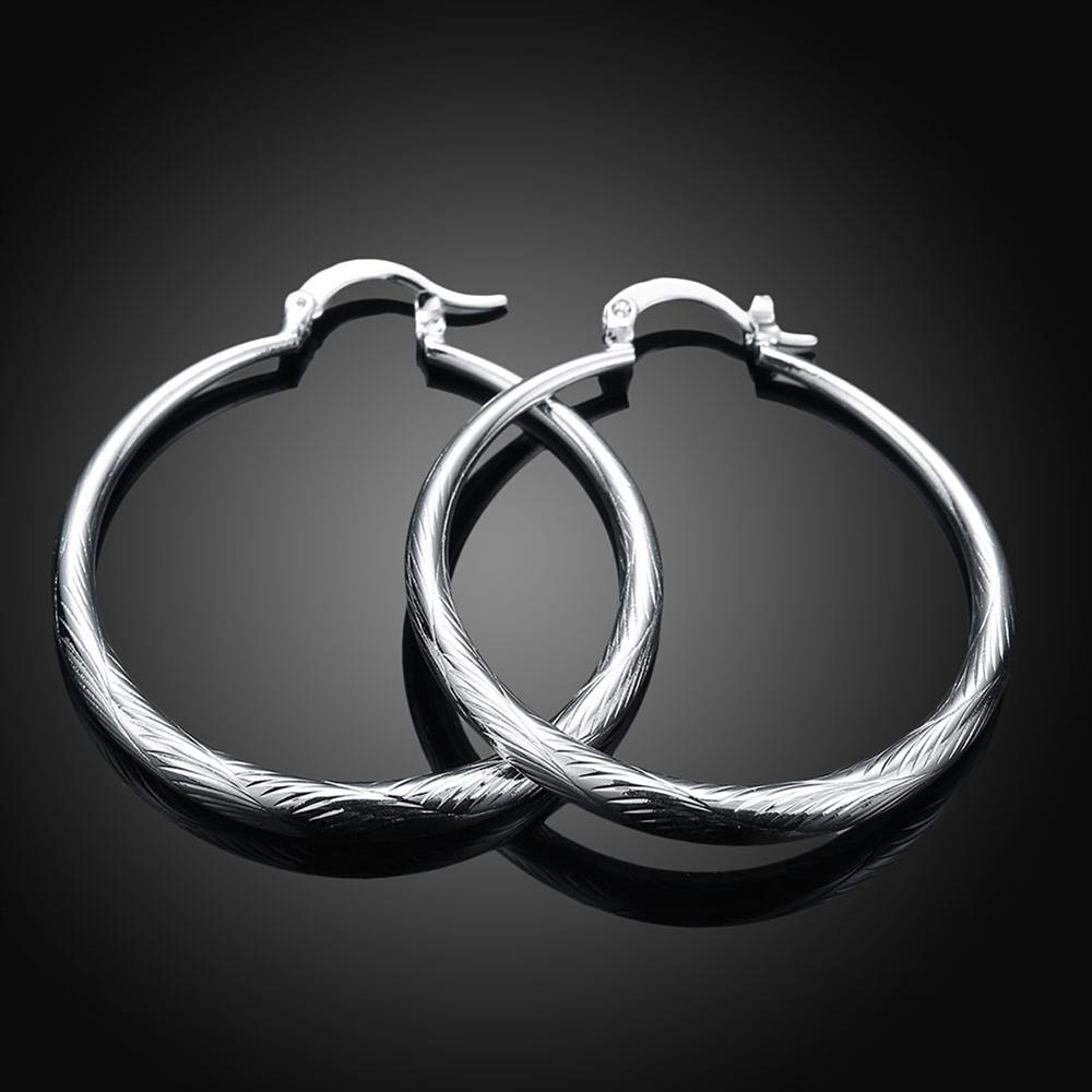 Wholesale Trendy Silver plated Circle Hoop Earrings Round Stylish Earrings for women Engagement Christmas Gift TGHE013 1