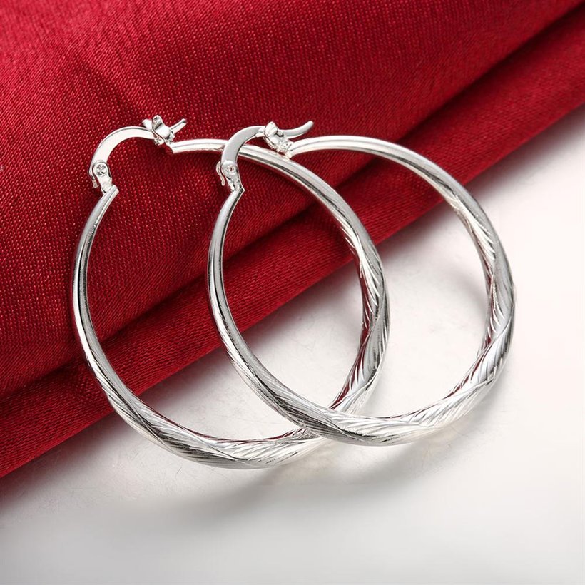 Wholesale Trendy Silver plated Circle Hoop Earrings Round Stylish Earrings for women Engagement Christmas Gift TGHE013 2
