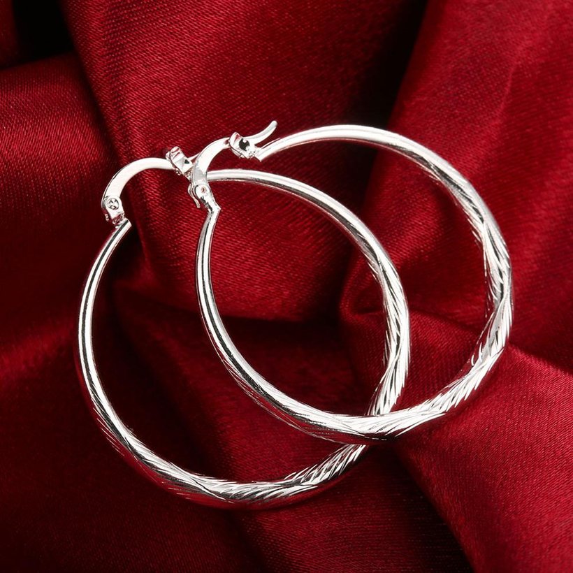 Wholesale Trendy Silver plated Circle Hoop Earrings Round Stylish Earrings for women Engagement Christmas Gift TGHE013 3