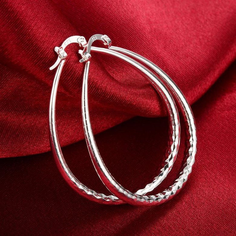 Wholesale Trendy Silver plated Circle Hoop Earrings Round Earrings Woman Jewelry Earrings Engagement Christmas Gift TGHE014 0