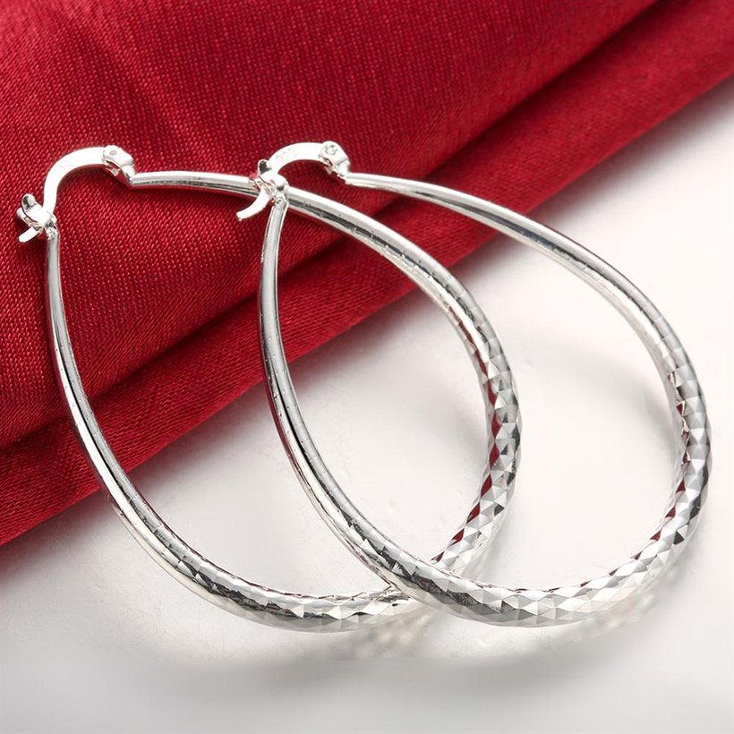 Wholesale Trendy Silver plated Circle Hoop Earrings Round Earrings Woman Jewelry Earrings Engagement Christmas Gift TGHE014 1