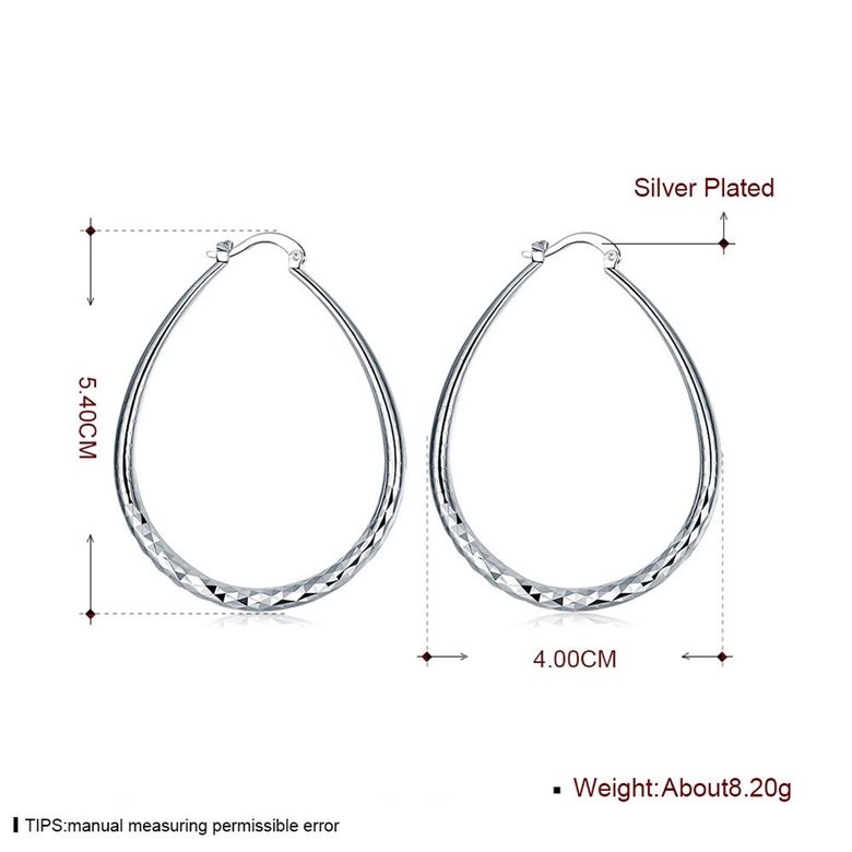 Wholesale Trendy Silver plated Circle Hoop Earrings Round Earrings Woman Jewelry Earrings Engagement Christmas Gift TGHE014 3