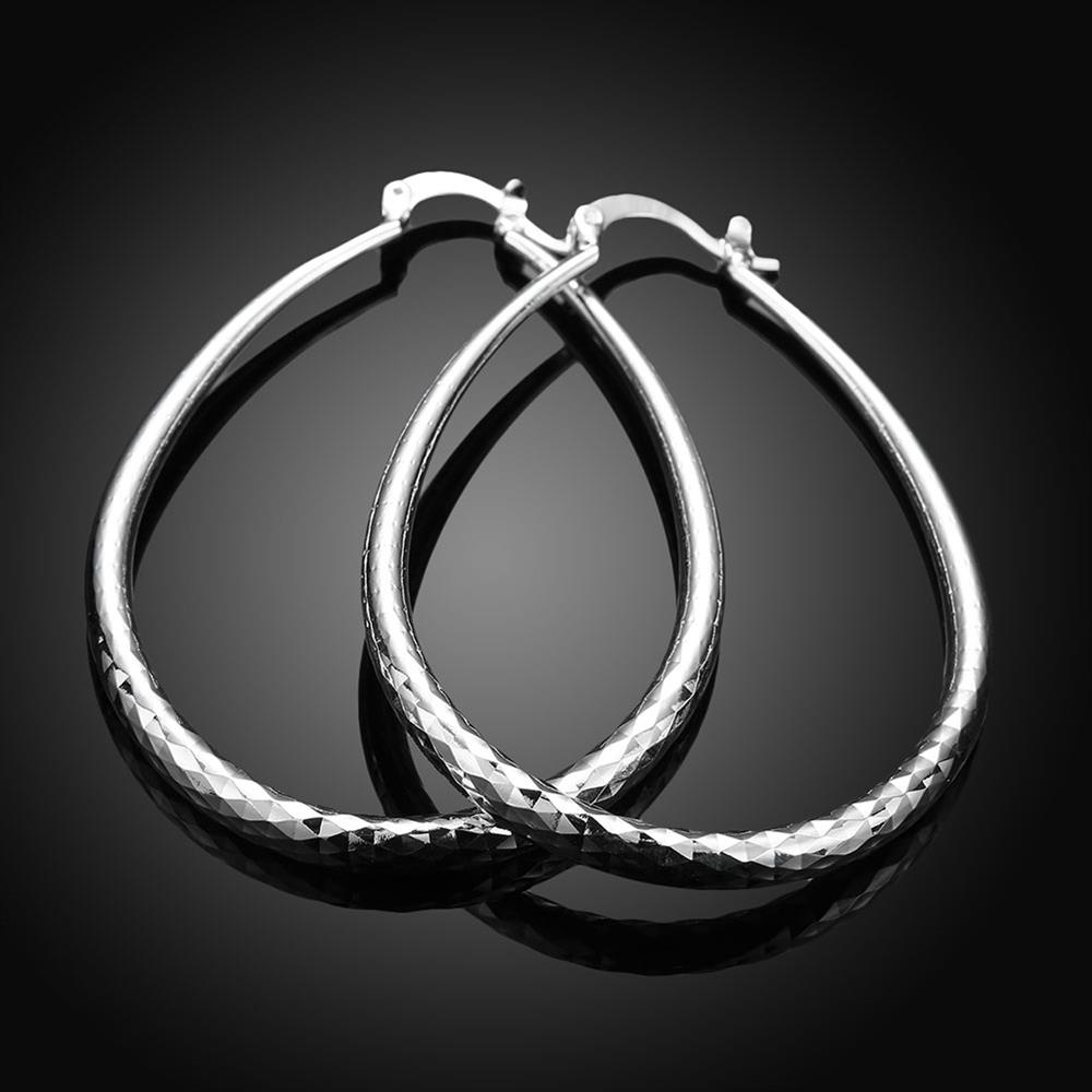 Wholesale Trendy Silver plated Circle Hoop Earrings Round Earrings Woman Jewelry Earrings Engagement Christmas Gift TGHE014 4