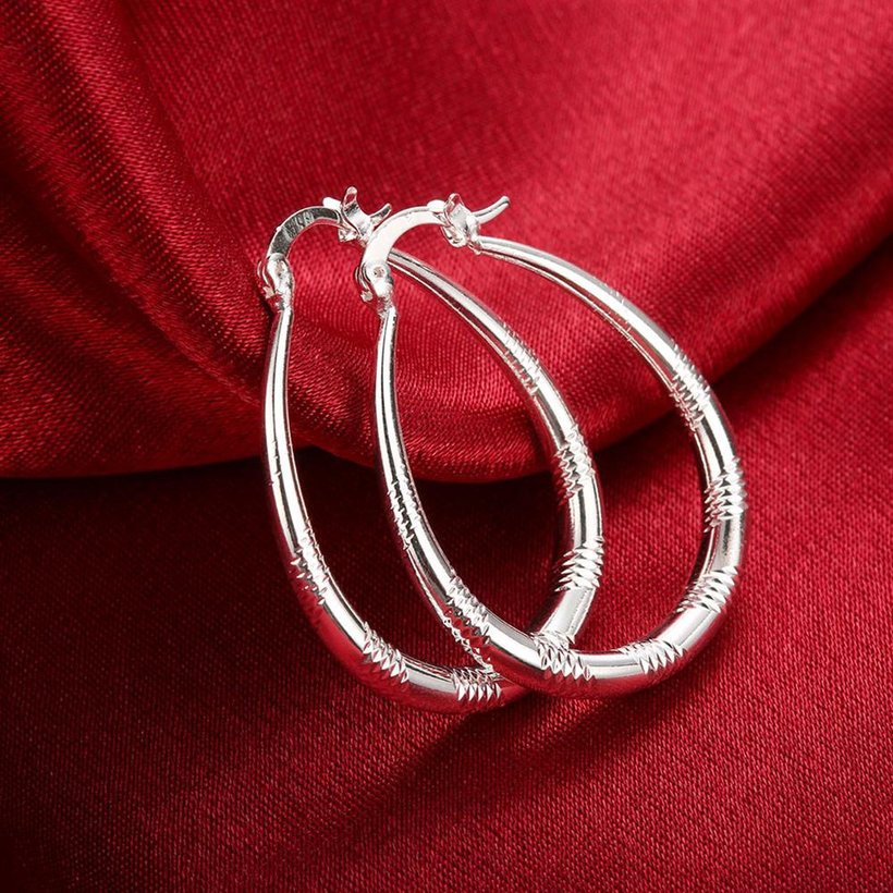 Wholesale Trendy Hot Sale Silver plated Simple U Shaped Hoop Earrings For Women Fashion Jewelry Wedding Accessories  TGHE015 0