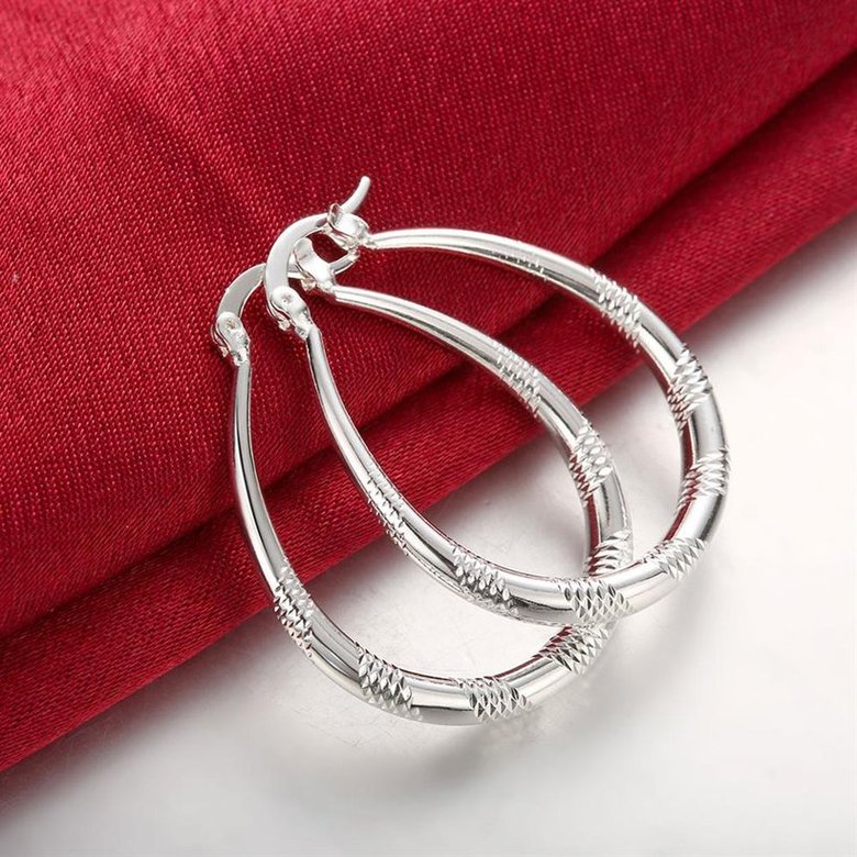 Wholesale Trendy Hot Sale Silver plated Simple U Shaped Hoop Earrings For Women Fashion Jewelry Wedding Accessories  TGHE015 4