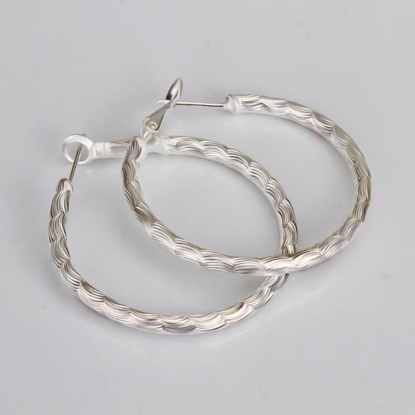 Wholesale Trendy Silver plated Geometric Hoop Earring For Woman Fashion Party Wedding Engagement Party Jewelry TGHE017 0