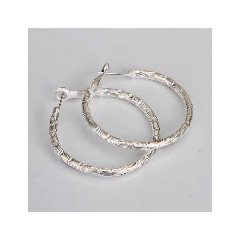 Wholesale Trendy Silver plated Geometric Hoop Earring For Woman Fashion Party Wedding Engagement Party Jewelry TGHE017 0