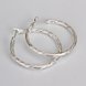 Wholesale Trendy Silver plated Geometric Hoop Earring For Woman Fashion Party Wedding Engagement Party Jewelry TGHE017 0 small