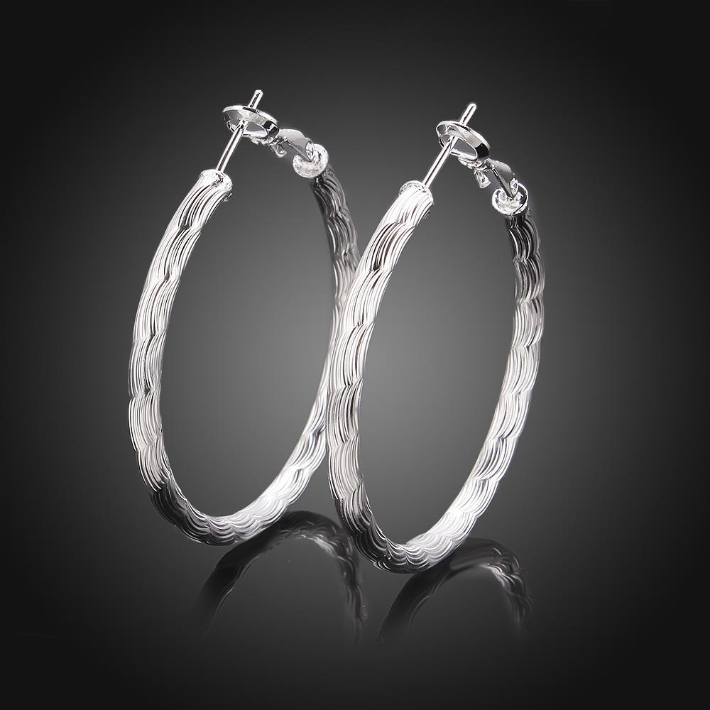 Wholesale Trendy Silver plated Geometric Hoop Earring For Woman Fashion Party Wedding Engagement Party Jewelry TGHE017 1