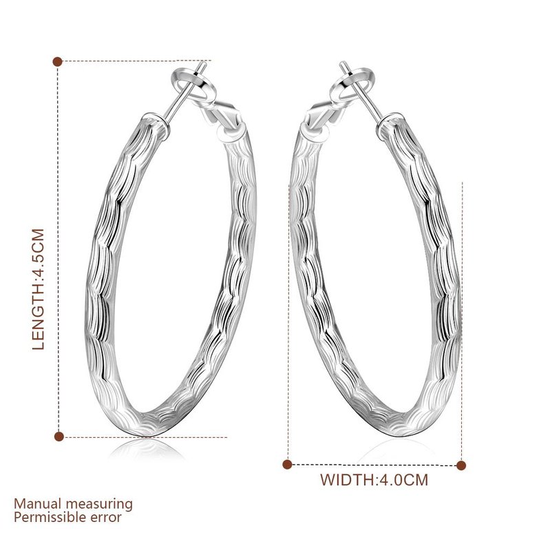 Wholesale Trendy Silver plated Geometric Hoop Earring For Woman Fashion Party Wedding Engagement Party Jewelry TGHE017 2