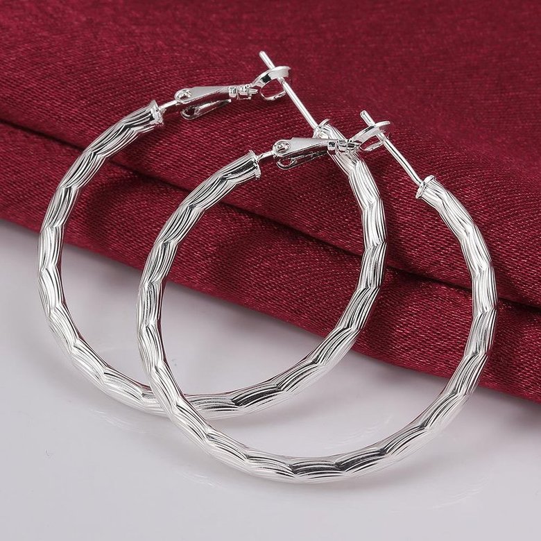 Wholesale Trendy Silver plated Geometric Hoop Earring For Woman Fashion Party Wedding Engagement Party Jewelry TGHE017 3