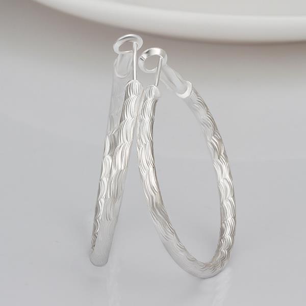 Wholesale Trendy Silver plated Geometric Hoop Earring For Woman Fashion Party Wedding Engagement Party Jewelry TGHE017 4