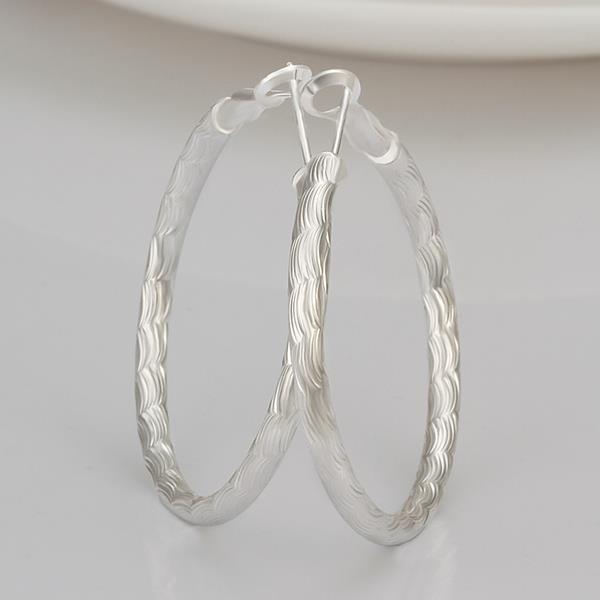 Wholesale Trendy Silver plated Geometric Hoop Earring For Woman Fashion Party Wedding Engagement Party Jewelry TGHE017 5