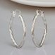 Wholesale Trendy Silver plated Geometric fish pattern Hoop Earring For Woman Fashion Party Engagement pub Party Jewelry TGHE019 3 small