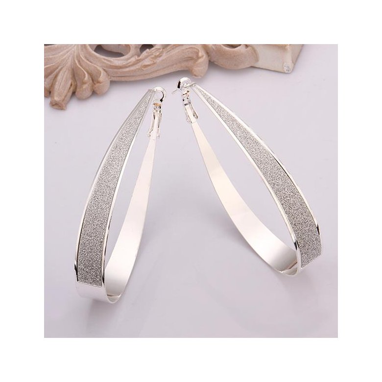 Wholesale Selling in Europe and America Silver plated Round Frosted Hoop Earring For Women Lady Best Gift Fashion Charm party Jewelry TGHE020 2