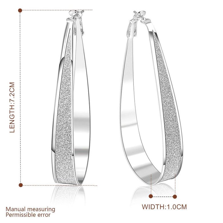 Wholesale Selling in Europe and America Silver plated Round Frosted Hoop Earring For Women Lady Best Gift Fashion Charm party Jewelry TGHE020 4