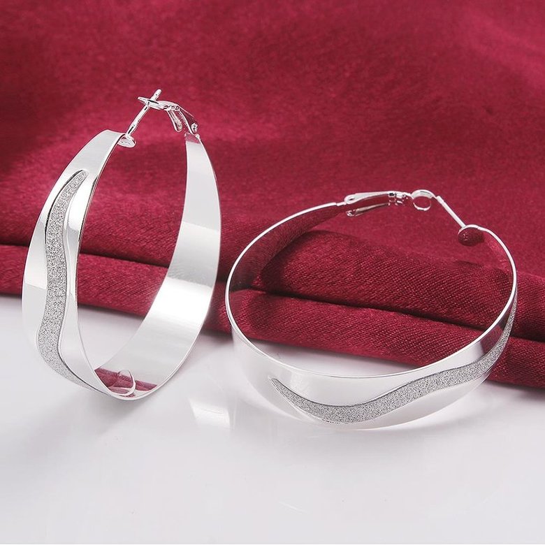Wholesale Selling in Europe and America Silver plated Round Frosted Hoop Earring For Women Lady Best Gift Fashion Charm party Jewelry TGHE021 2