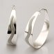 Wholesale Selling in Europe and America Silver plated Round Frosted Hoop Earring For Women Lady Best Gift Fashion Charm party Jewelry TGHE021 3 small