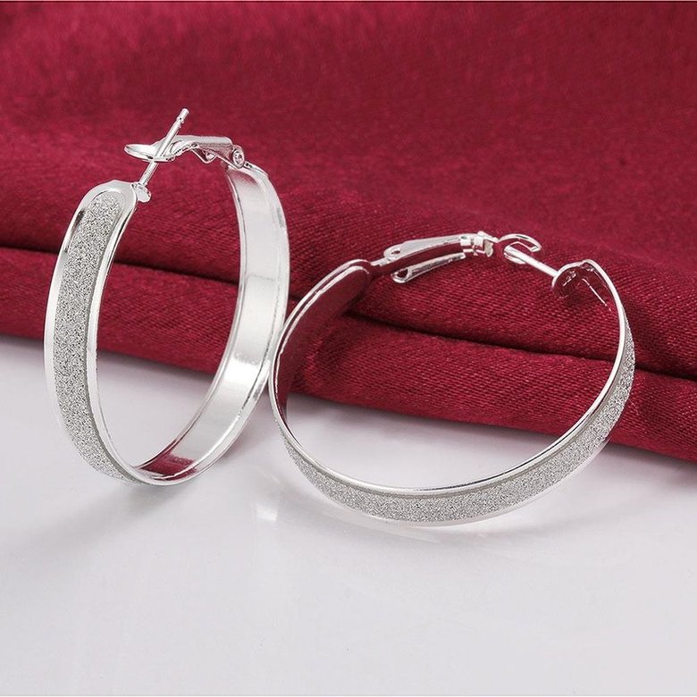 Wholesale Selling in Europe and America Silver plated Round Frosted Hoop Earring For Women Lady Best Gift Fashion Charm party Jewelry TGHE023 0