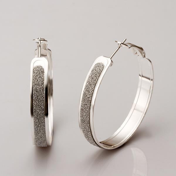 Wholesale Selling in Europe and America Silver plated Round Frosted Hoop Earring For Women Lady Best Gift Fashion Charm party Jewelry TGHE023 1