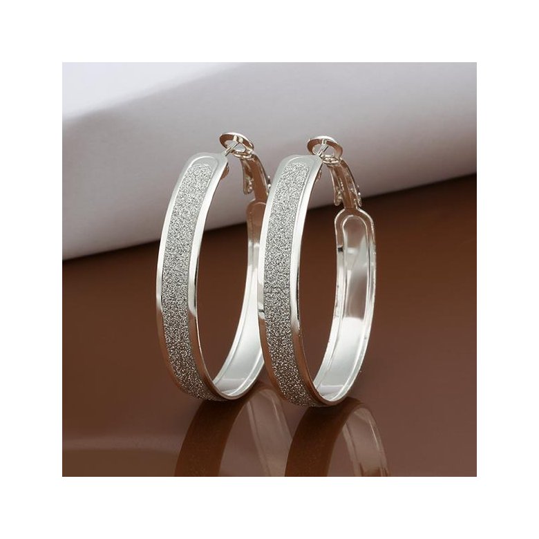Wholesale Selling in Europe and America Silver plated Round Frosted Hoop Earring For Women Lady Best Gift Fashion Charm party Jewelry TGHE023 4