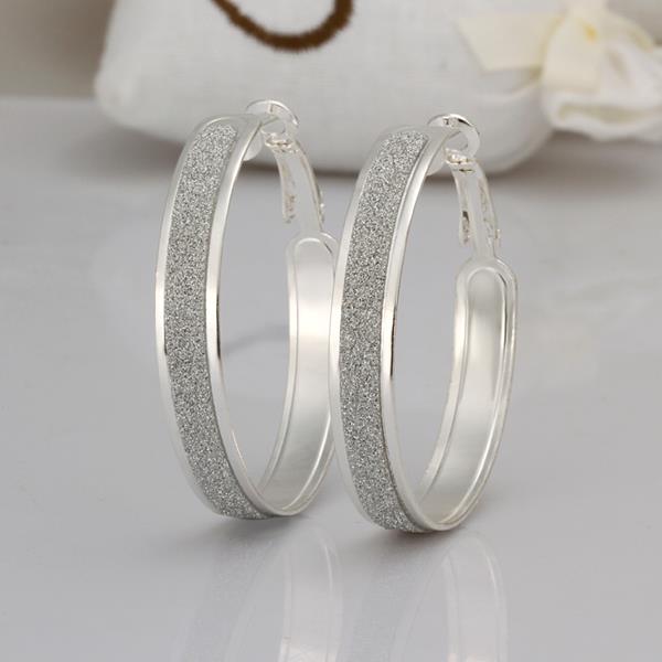 Wholesale Selling in Europe and America Silver plated Round Frosted Hoop Earring For Women Lady Best Gift Fashion Charm party Jewelry TGHE023 5