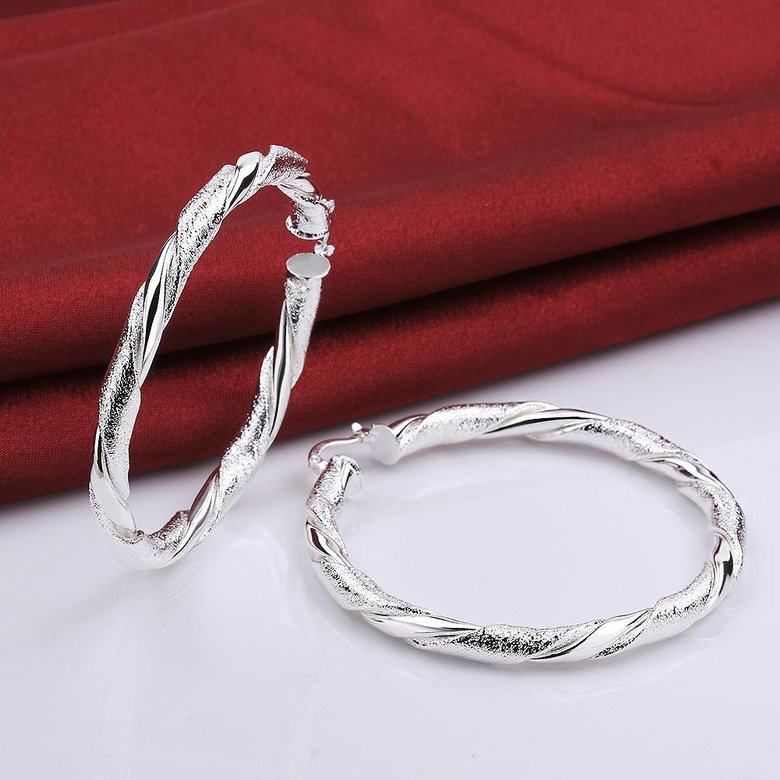 Wholesale Trendy Silver Round twist shape Hoop Earring For Women Lady Best Gift Fashion Charm Engagement Wedding Jewelry TGHE029 1