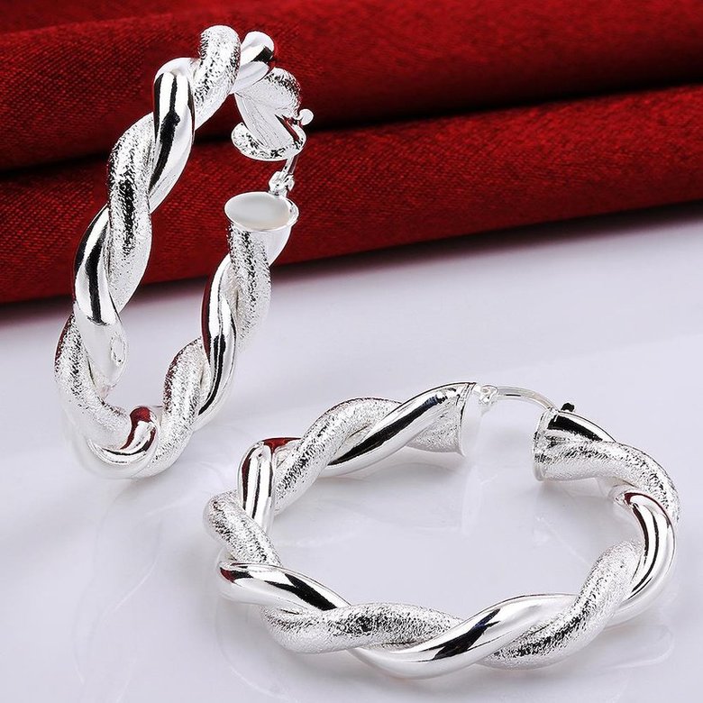 Wholesale Trendy Silver Round twist shape Hoop Earring For Women Lady Best Gift Fashion Charm Engagement Wedding Jewelry TGHE030 1