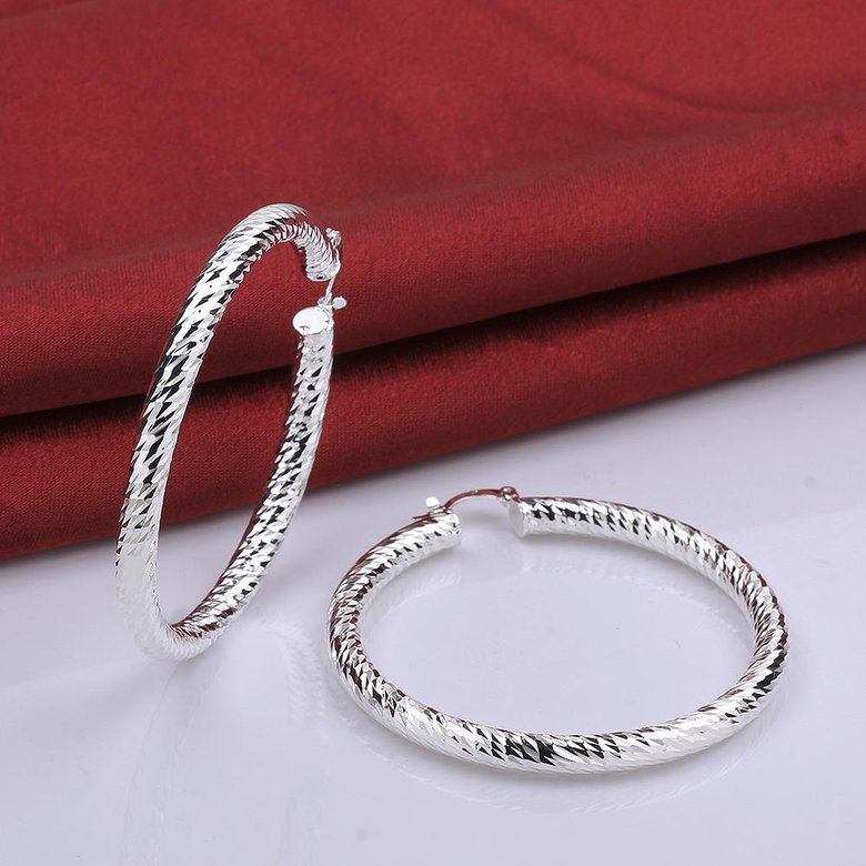 Wholesale Trendy Hot Sale Silver plated Simple U Shaped Hoop Earrings For Women Fashion Jewelry Wedding Accessories  TGHE031 1