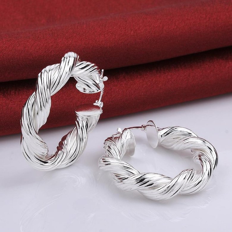 Wholesale Trendy Silver plated Round twist shape Hoop Earring For Women Lady Best Gift Fashion Charm Engagement Wedding Jewelry TGHE032 0