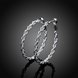 Wholesale Classic Trendy Silver Round twist shape Hoop Earring For Women Lady Best Gift Fashion Charm Engagement Wedding Jewelry TGHE036 1 small
