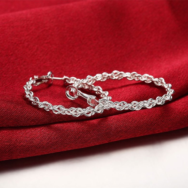 Wholesale Classic Trendy Silver Round twist shape Hoop Earring For Women Lady Best Gift Fashion Charm Engagement Wedding Jewelry TGHE036 2