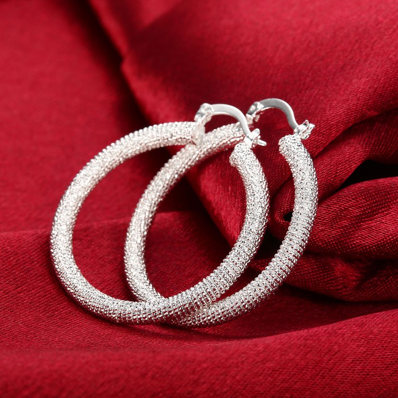 Wholesale Trendy Hot Sale Silver plated Simple round Hoop Earrings For Women Fashion Jewelry Wedding Accessories  TGHE045 0