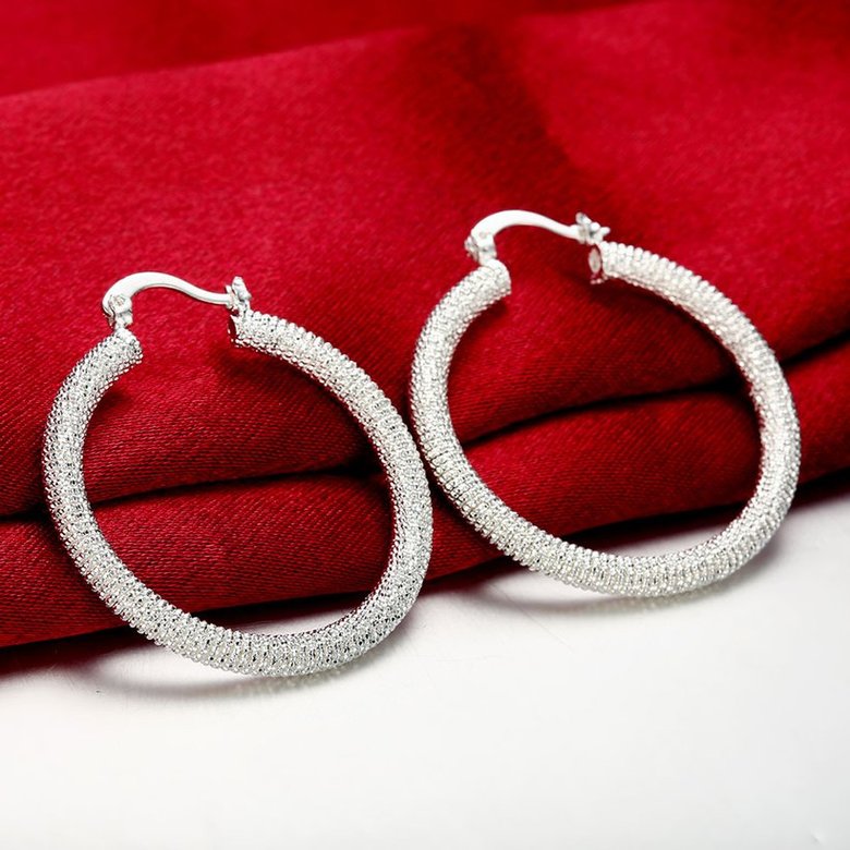 Wholesale Trendy Hot Sale Silver plated Simple round Hoop Earrings For Women Fashion Jewelry Wedding Accessories  TGHE045 1