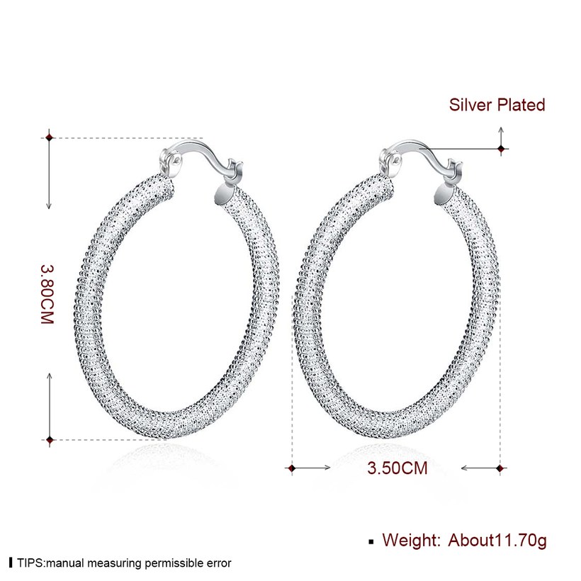 Wholesale Trendy Hot Sale Silver plated Simple round Hoop Earrings For Women Fashion Jewelry Wedding Accessories  TGHE045 2