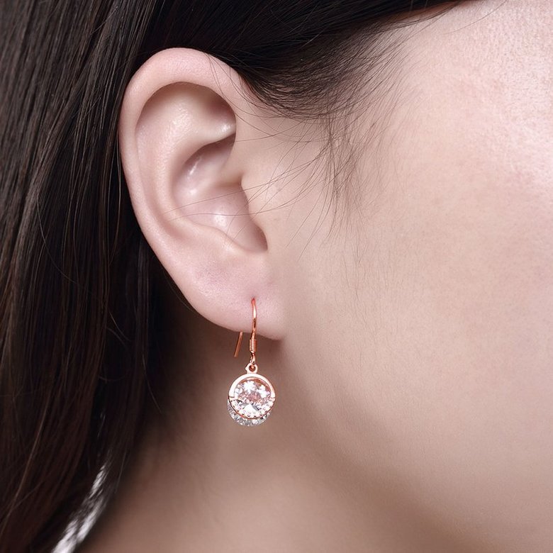 Wholesale Trendy Classic Round Zircon Drop Earrings Vintage Party Dangle Earrings For Women Elegant rose gold Color Bride Wedding Earrings TGSLE190 4