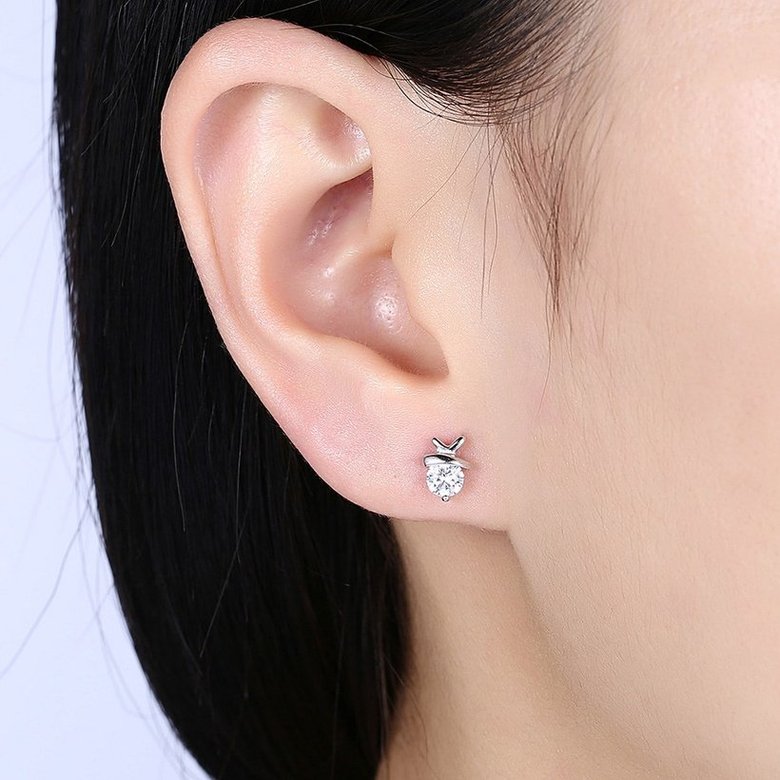 Wholesale Simple Fashion AAA Zircon Crystal Round Small Stud Earrings Wedding 925 Sterling Silver Earring for Women Girls Jewelry Gift TGSLE005 0