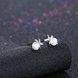 Wholesale Simple Fashion AAA Zircon Crystal Round Small Stud Earrings Wedding 925 Sterling Silver Earring for Women Girls Jewelry Gift TGSLE005 1 small