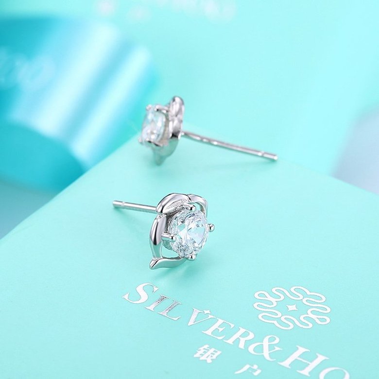 Wholesale Creative Luxury Female Small Stud Earrings Real 925 Sterling Silver Earrings Trendy shinny Crystal Stone Wedding Earrings  TGSLE053 2