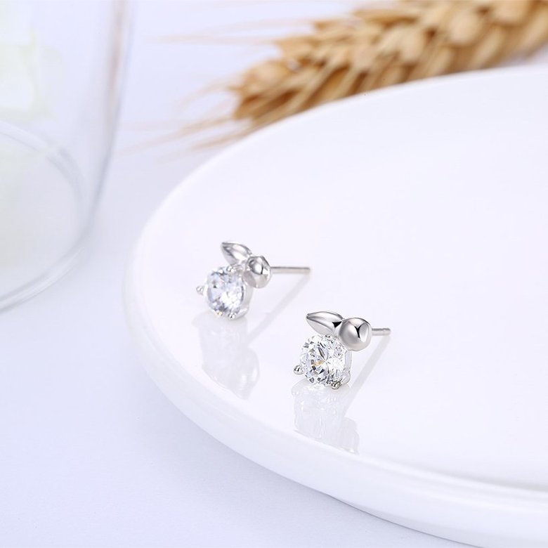 Wholesale Fashion Creative Female Small Stud Earrings Real 925 Sterling Silver Earrings delicate shinny Crystal Stone Wedding Earrings  TGSLE055 3
