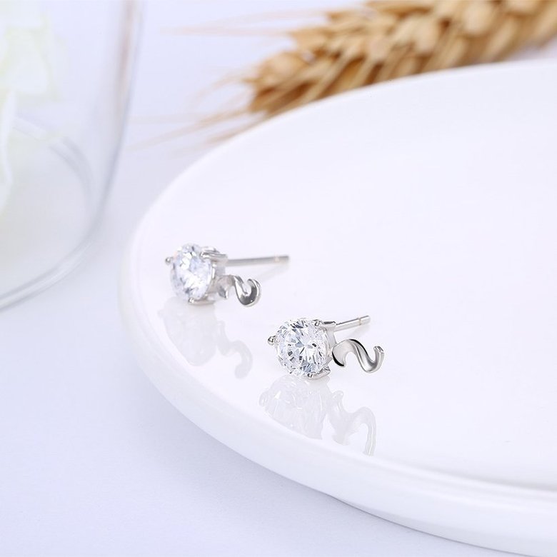 Wholesale Fashion Creative Female Small Stud Earrings 925 Sterling Silver delicate shinny Crystal Earrings Wedding party jewelry wholesale TGSLE069 3