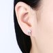 Wholesale Fashion delicate 925 Sterling Silver Jewelry Shine AAA Zircon Earrings For Women Girls New Gift Banquet Wedding TGSLE083 0 small