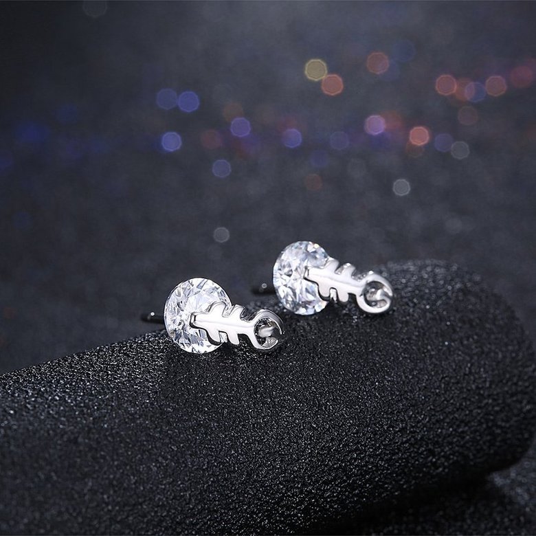 Wholesale Fashion delicate 925 Sterling Silver Jewelry Shine AAA Zircon Earrings For Women Girls New Gift Banquet Wedding TGSLE083 1