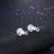 Wholesale Fashion delicate 925 Sterling Silver Jewelry Shine AAA Zircon Earrings For Women Girls New Gift Banquet Wedding TGSLE083 1 small