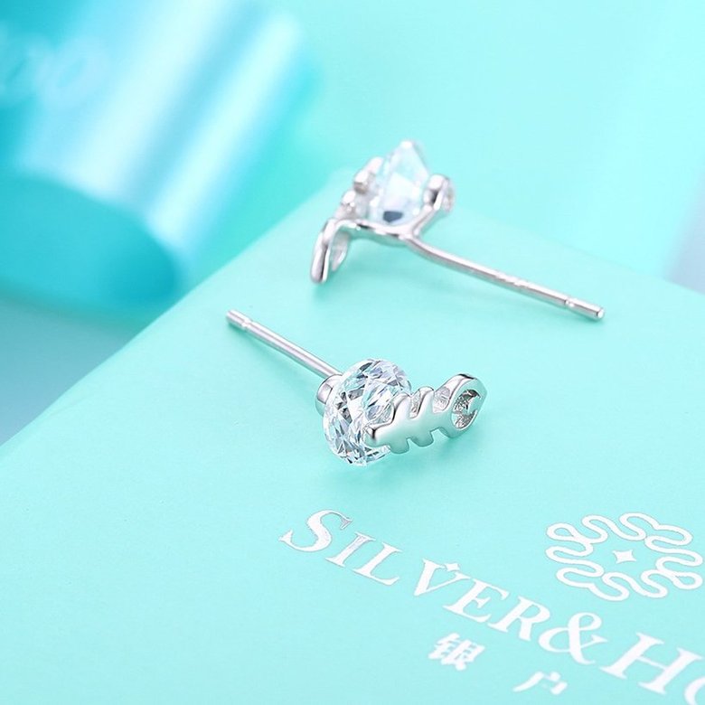 Wholesale Fashion delicate 925 Sterling Silver Jewelry Shine AAA Zircon Earrings For Women Girls New Gift Banquet Wedding TGSLE083 2